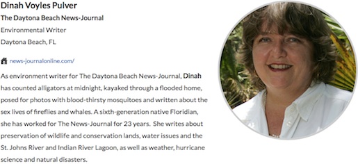 Dinah Pulver, Daytonna Beach News-Journal recognized for environmental reporting / Headline Surfer®