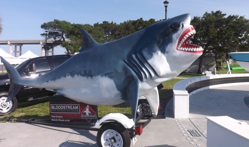 New Smyrna beachweek Fishstock / Headline Surfer