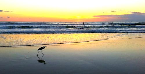 Scene setter at the beach in Daytona / Headline Surfer®
