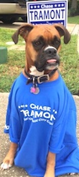 Port Orange City Council-elect Chasde Tramont's dog / Headline Surfer