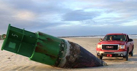 A Coast Guard radar buoy washes ashore in New Smyrna Beach, Florida / Headline Surfer® 