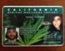 Pot card in California / Headline Surfer®