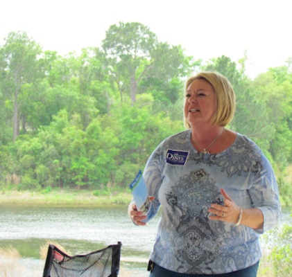 Deb Denys, incumbent County Councilwoman for district 3 skipped debates / Headline Surfer®