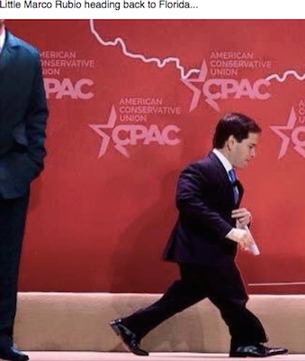 Little Marco Rubio heads back to Florida / Headline Surfer®