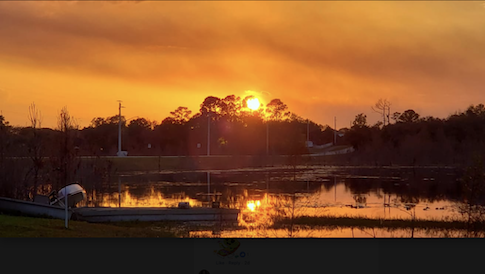 Zenaida Denizac's Deltona, Florida sunset / 
