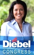 Karen Diebel ran for Congress in 2010 / Headline Surfer®