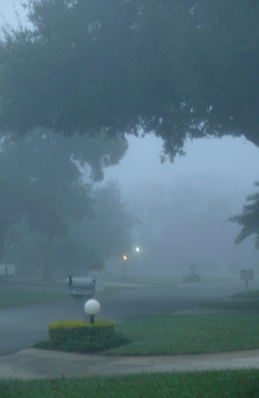 Foggy Tuesday morning in Port Orange at sunrise / Headline Surfer