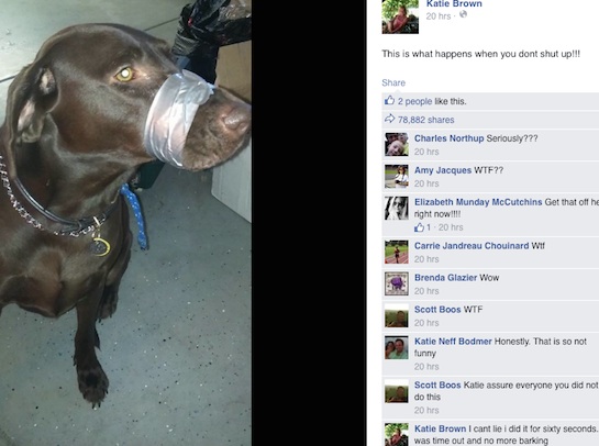 Dog duct-tape pic that went viral / Headline Surfer®