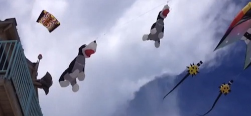 Kites galore this weekend in New Smyrna Beach / Headline Surfer®