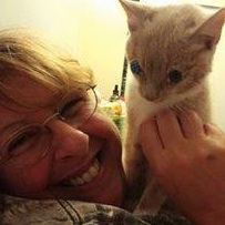 Shira Beth Wild is a cat lover who believes in pet rescues instrad of pet shelters, the latter of which kill animals they can't get people to adopt / Headline Surfer