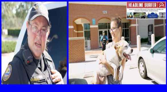 Lost dog reunited / Headline Surfer