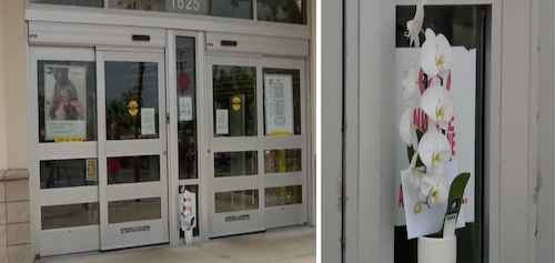 Port Orange Walgreens shooting flowers at entrance / Headline Surfer