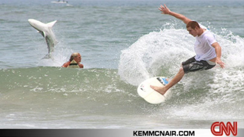 shark in wave behind surfer